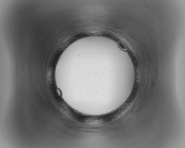 X0000111630597200908071413