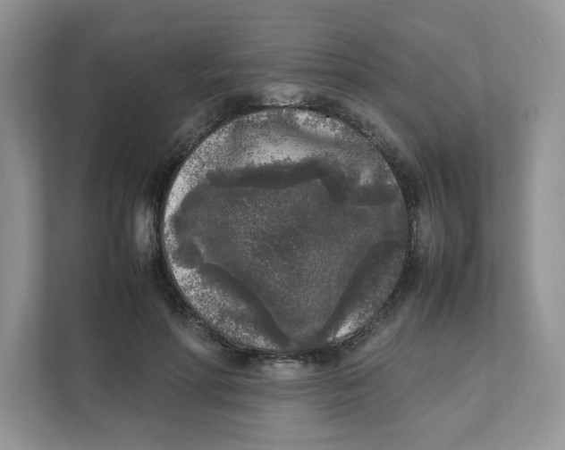 X0000111630598200908071413