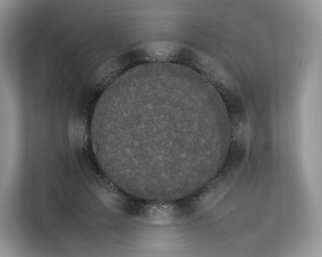 X0000111630599200908071413
