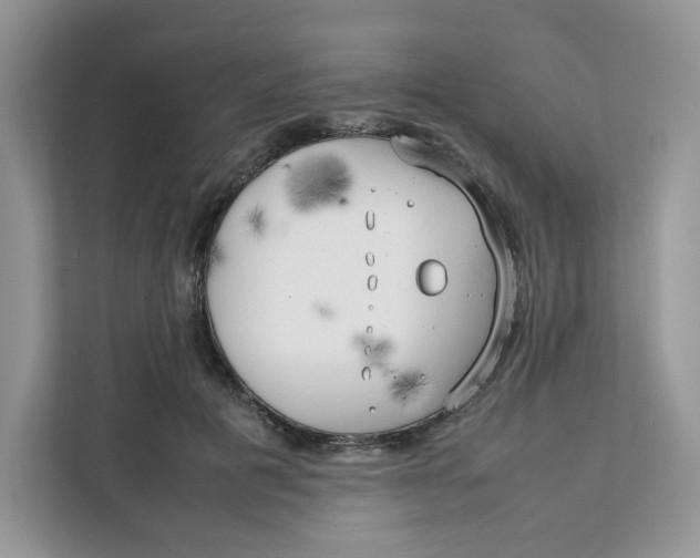 X0000111630601200908071413