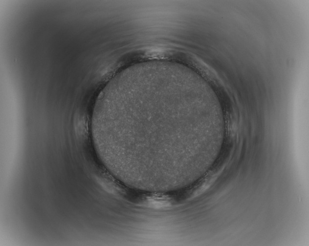 X0000111630603200908071413