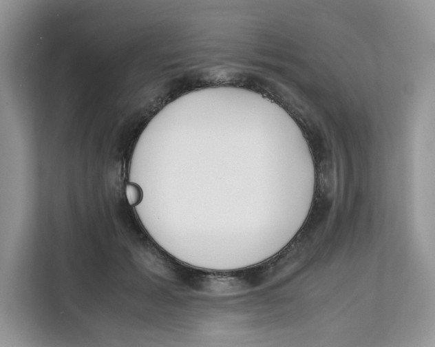 X0000111630605200908071413