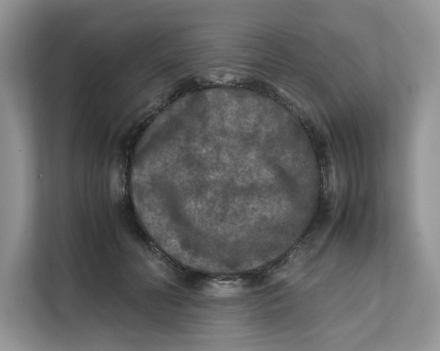 X0000111630606200908071413