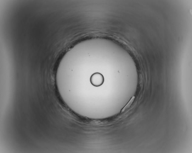 X0000111630613200908071412