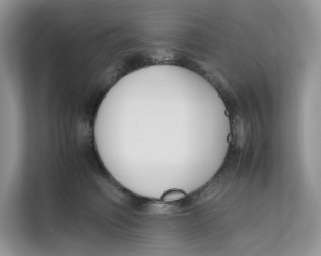 X0000111630614200908071412