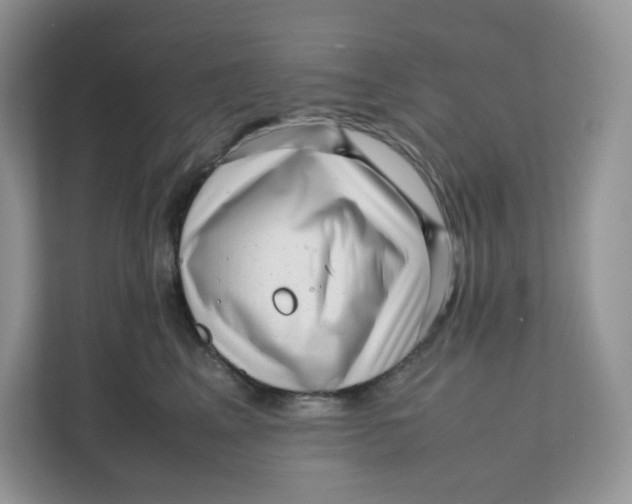 X0000111630617200908071412