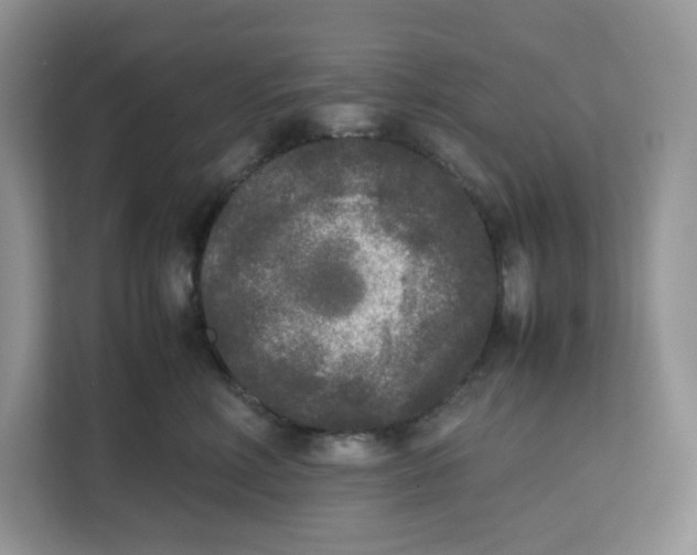 X0000111630618200908071412
