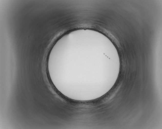 X0000111630625200908071412