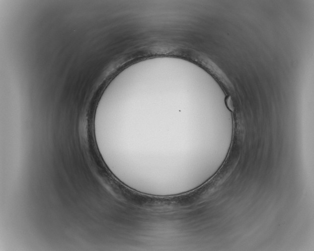 X0000111630626200908071412