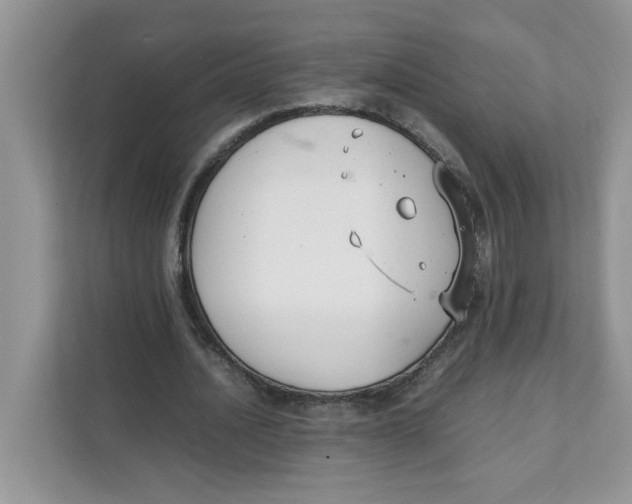 X0000111630628200908071412