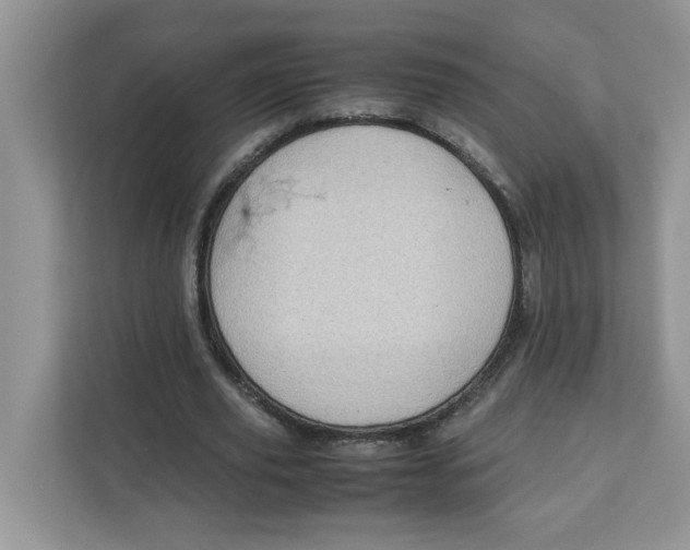 X0000111630629200908071412