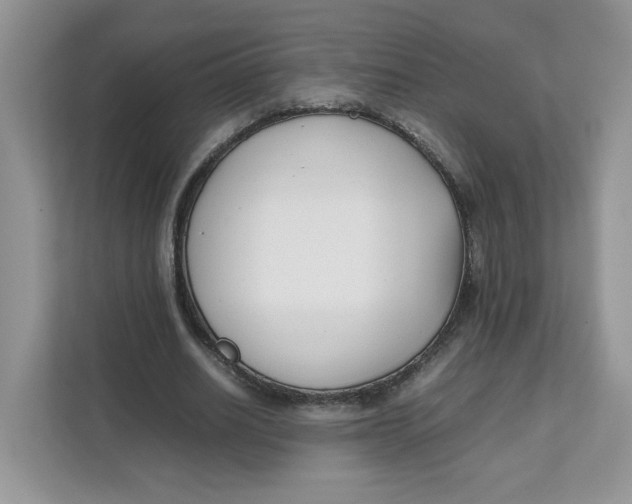 X0000111630630200908071412