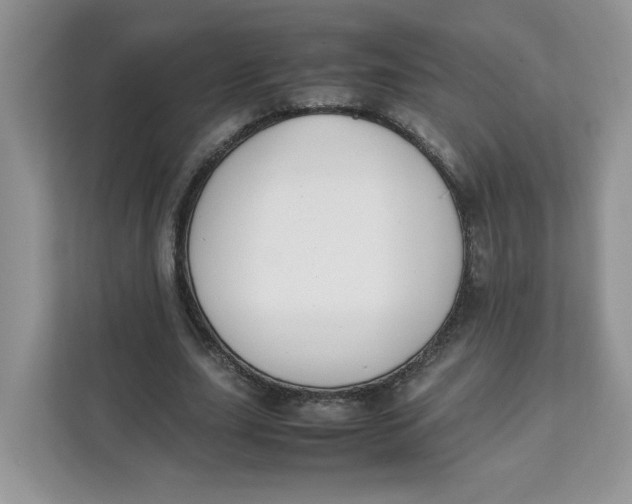 X0000111630631200908071412