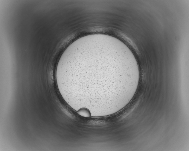X0000111630633200908071412