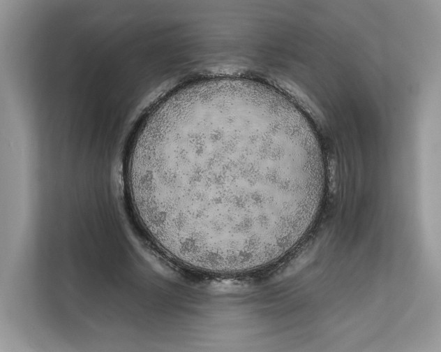 X0000111630634200908071412