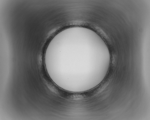 X0000111630636200908071412