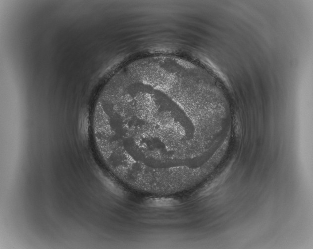 X0000111630637200908071412