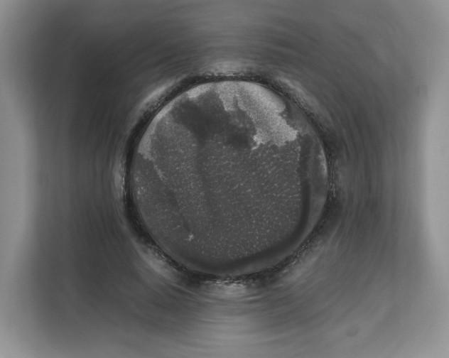 X0000111630640200908071412