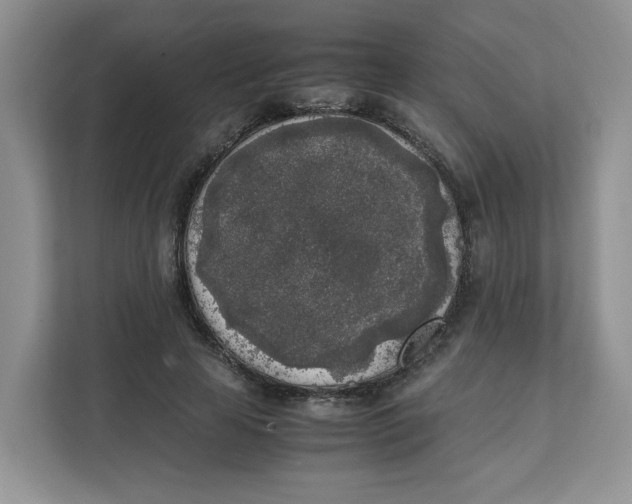 X0000111630641200908071412