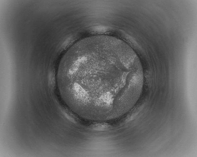 X0000111630642200908071412