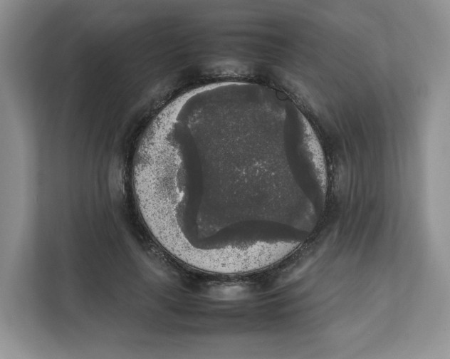 X0000111630643200908071412