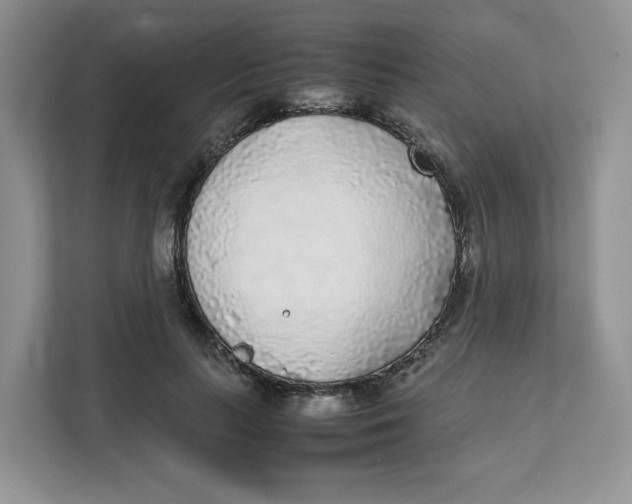 X0000111630647200908071412