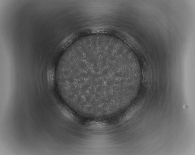 X0000111630648200908071412
