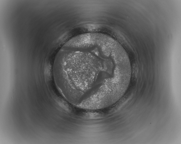 X0000111630650200908071412