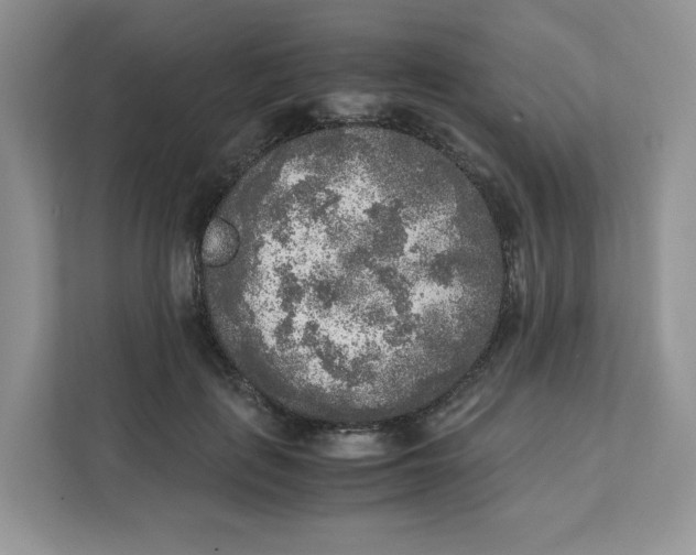 X0000111630651200908071412