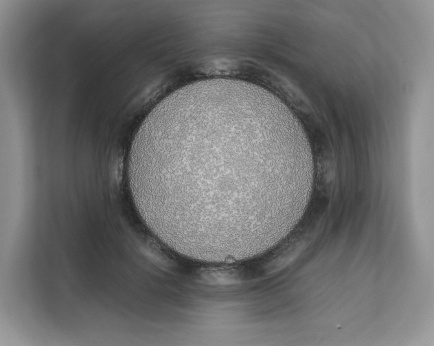 X0000111630652200908071412