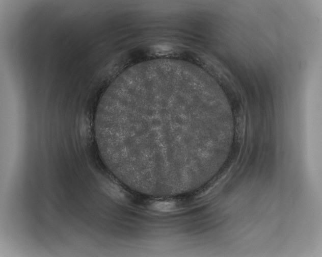 X0000111630653200908071412