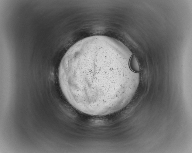 X0000111630655200908071412
