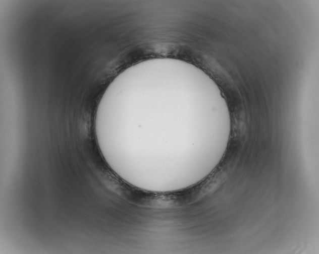 X0000111630656200908071412