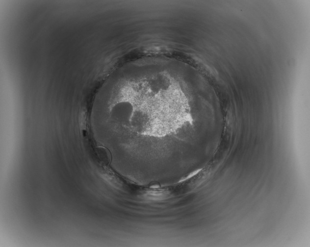 X0000111630659200908071412