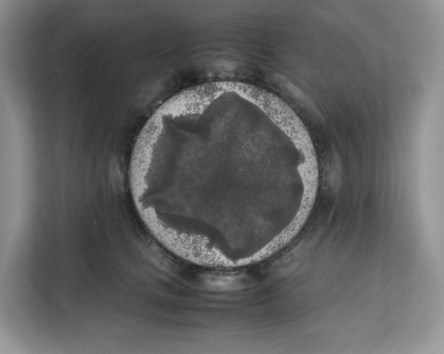 X0000111630661200908071412