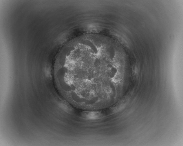 X0000111630663200908071412