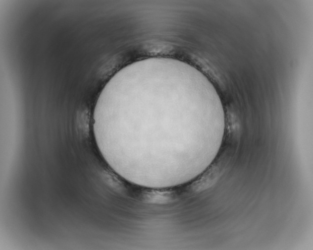 X0000111630664200908071412