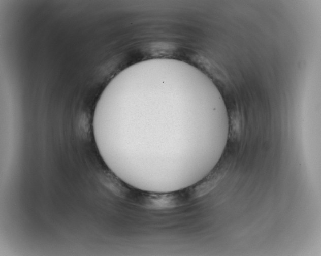 X0000111630667200908071412