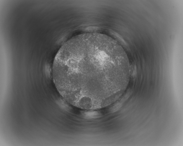 X0000111630669200908071412
