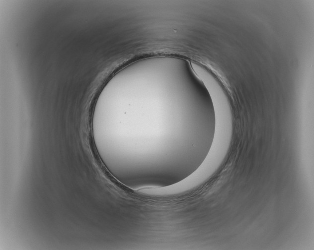 X0000111630673200908071412