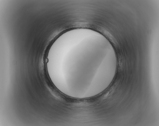 X0000111630674200908071412