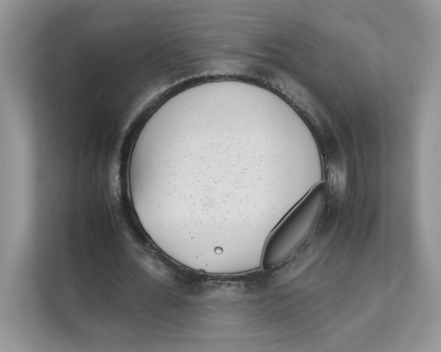 X0000111630676200908071412