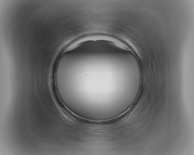 X0000111630677200908071412