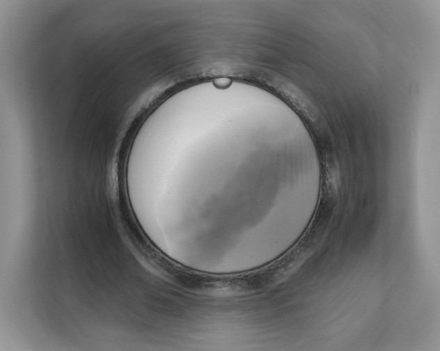 X0000111630678200908071412