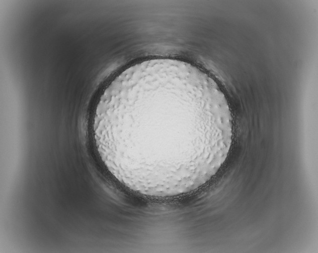 X0000111630679200908071412