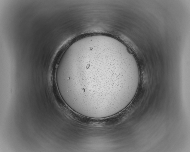 X0000111630680200908071412
