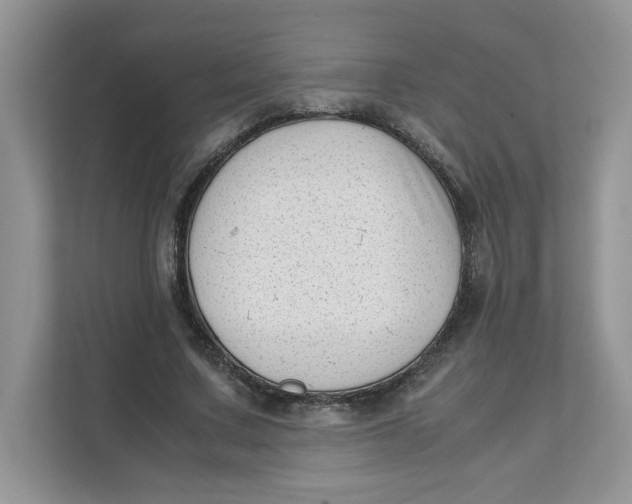 X0000111630683200908071412