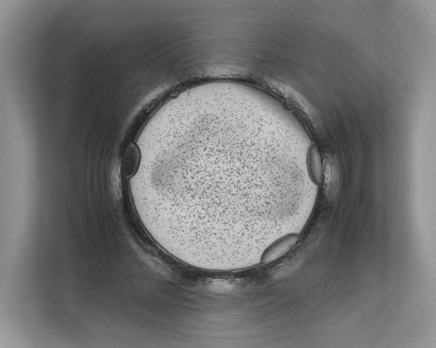 X0000111630684200908071412