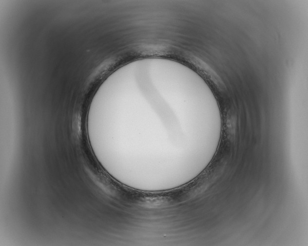 X0000111630686200908071412