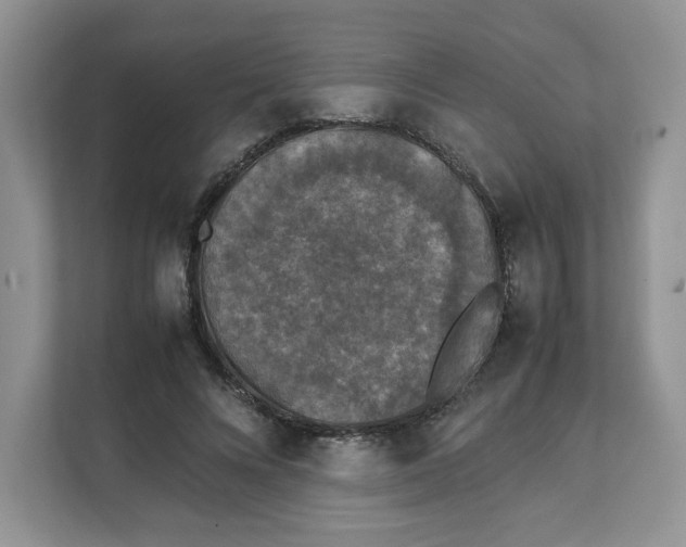 X0000111630688200908071412